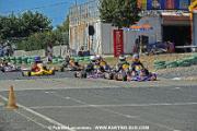 DSC_6930 copie